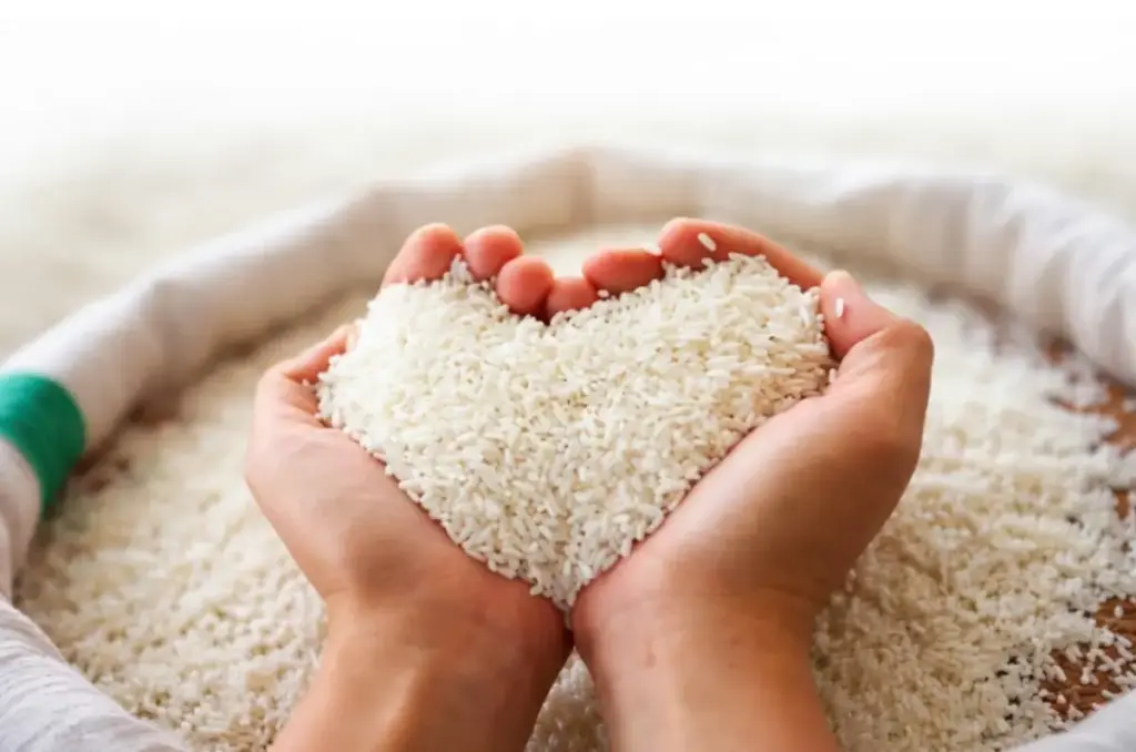 (Unsplash/radargarut.id)