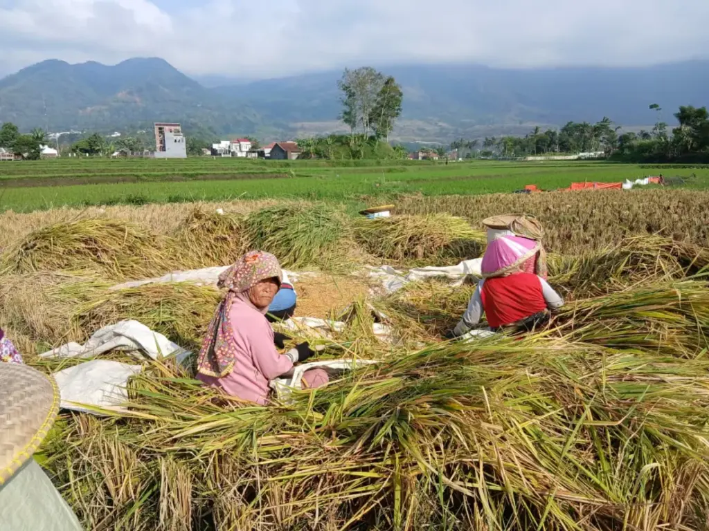 Harga Pupuk Melebihi HET, DPRD Garut Minta UPTD Responsif Soal Data Petani (Rizki/Radar Garut)