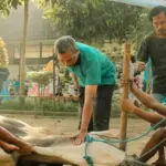 (Unsplash/radargarut.id)