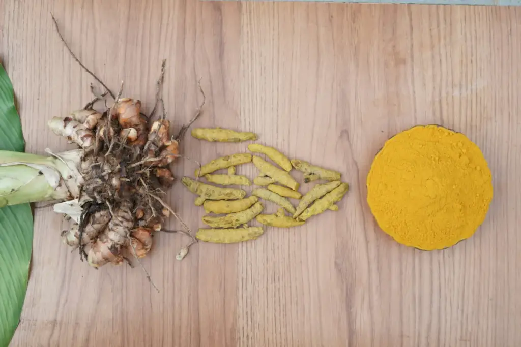 (Unsplash/radargarut.id)