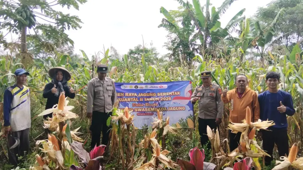 Radar Garut