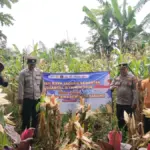 Radar Garut
