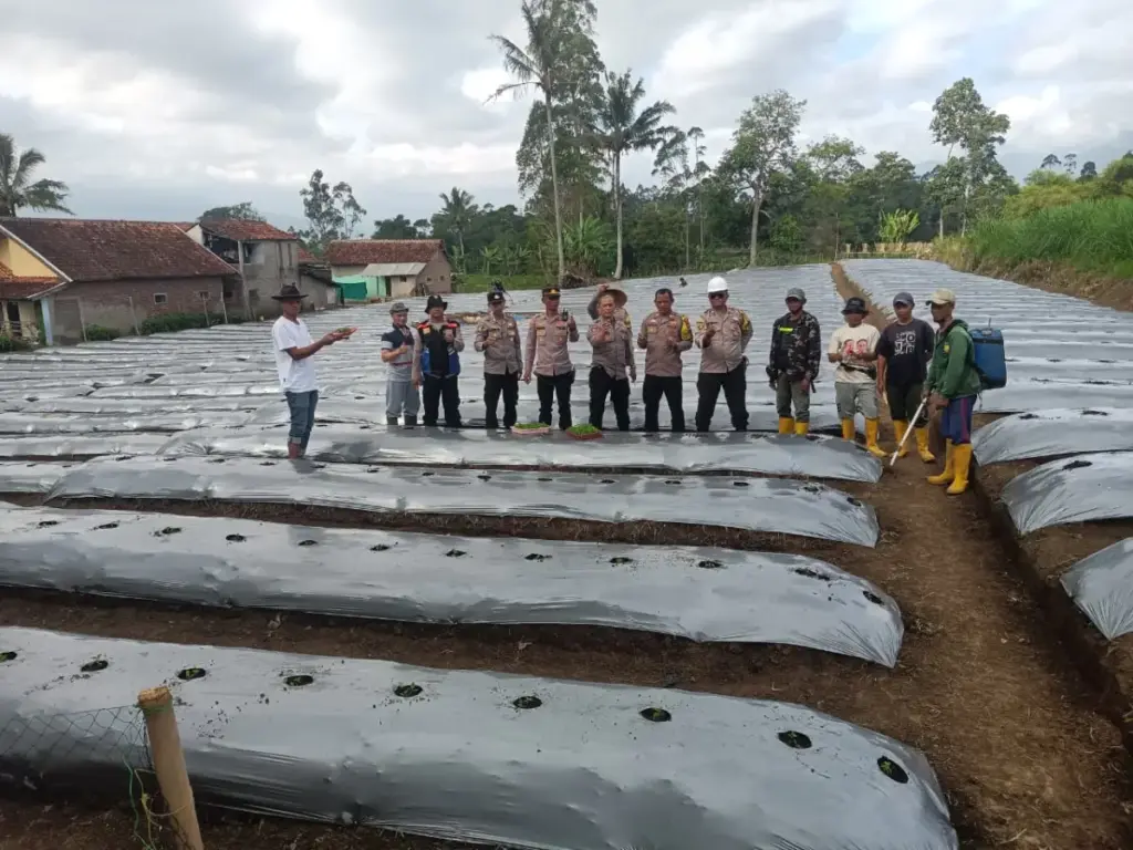 istimewa
