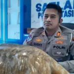istimewa