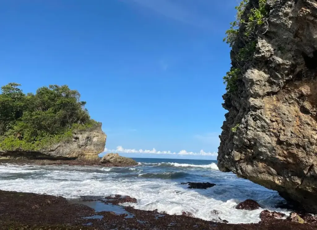 (Istimewa)