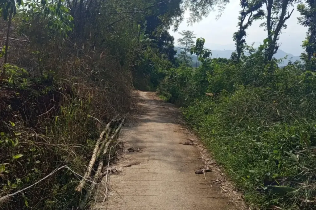 Pepohonan Menjuntai Dibabat, Akses Jalan Desa di Cibiuk Garut Kembali Lancar (Pepen Apendi/Radar Garut)