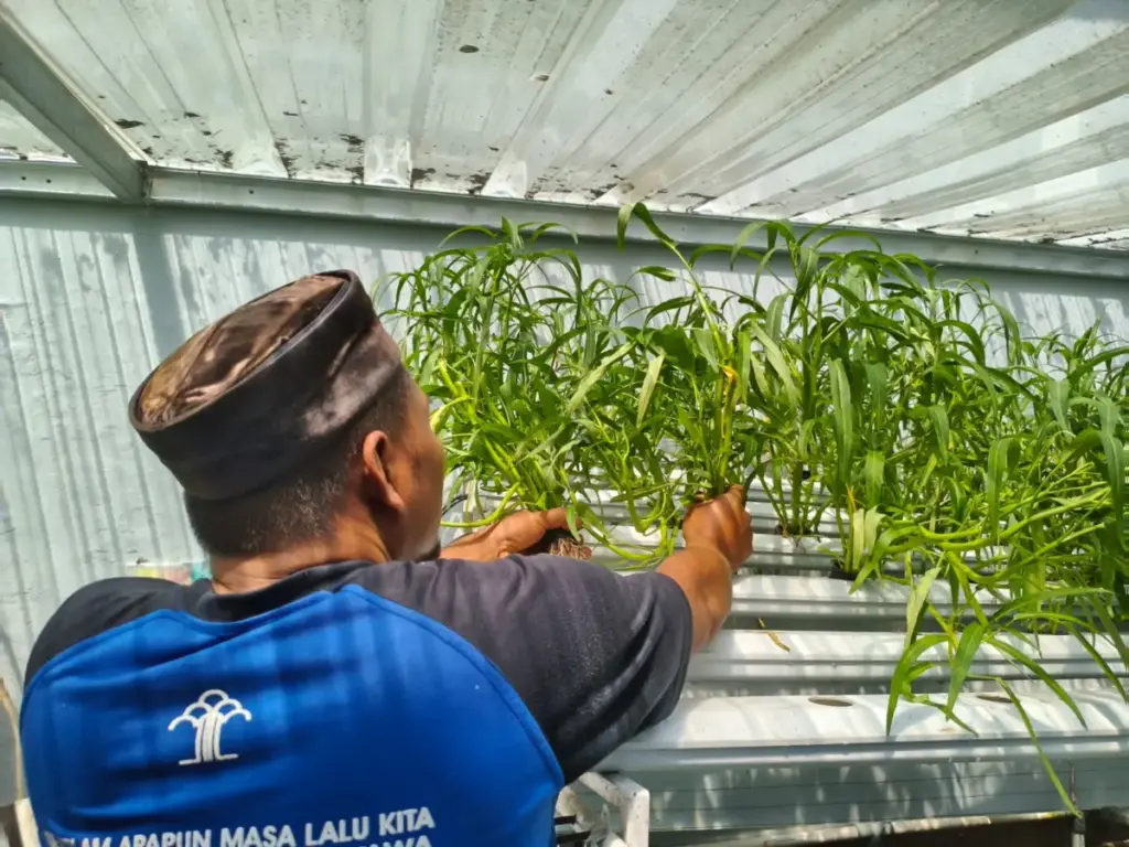 istimewa