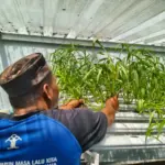 istimewa