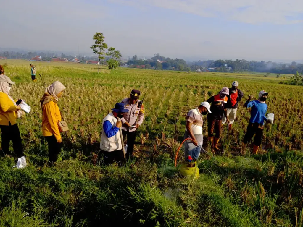 istimewa