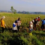 istimewa