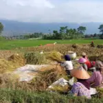 Radar Garut