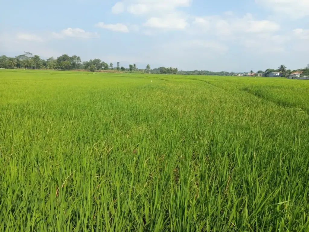 Radar Garut