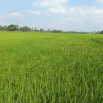 Radar Garut