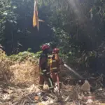 Kebakaran Lahan di Desa Rancabango, Garut. (Istimewa)