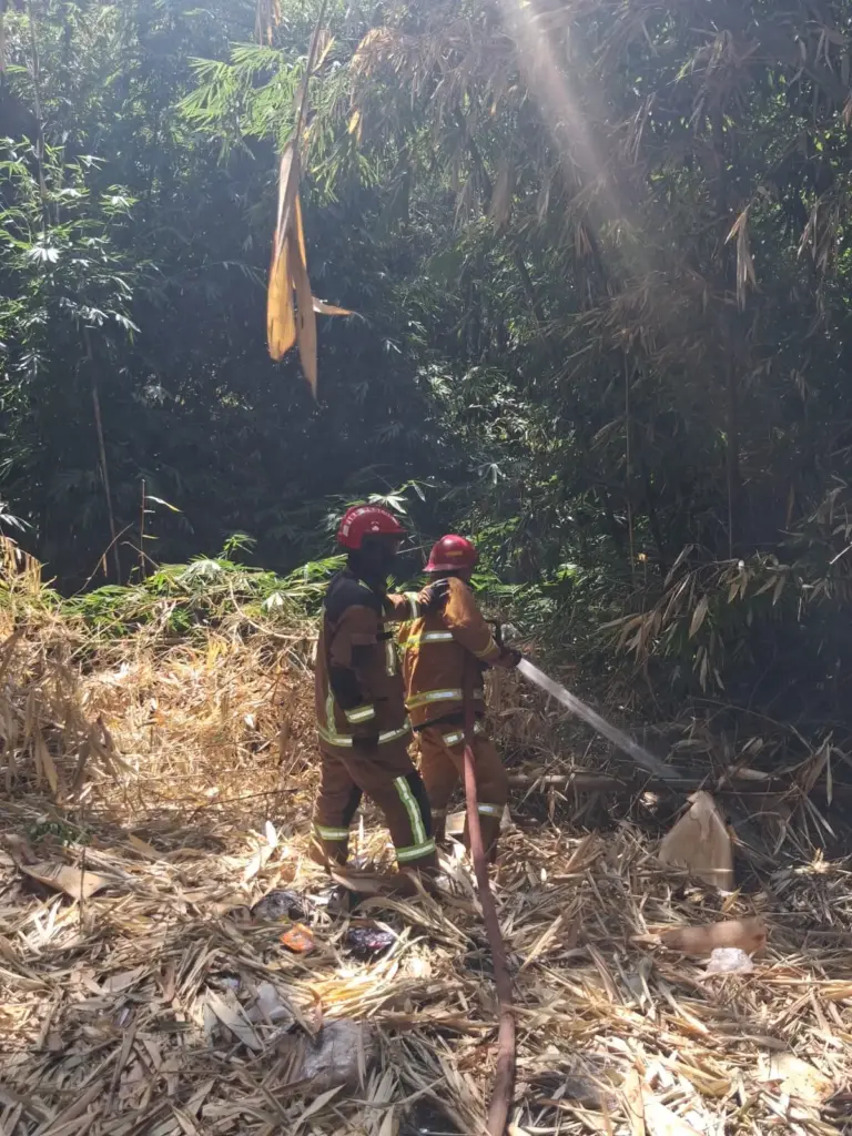 Kasus Kebakaran di Garut Capai 227 Kejadian, Bulan Juli Paling Parah Kebakaran Lahan di Desa Rancabango, Garut. (Istimewa)