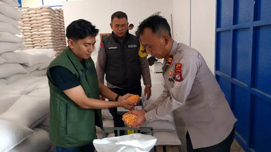 Jagung Binaan Polsek Pasirwangi Diserap Bulog istimewa