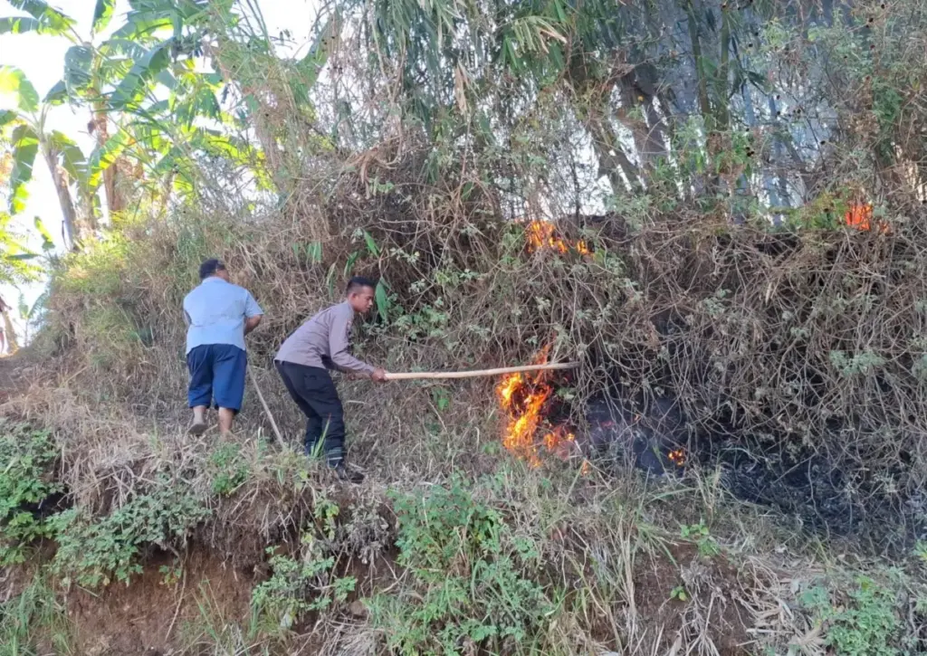 Lahan TPU di Pasirwangi Garut Terbakar, Api Padam Setelah Satu Setengah Jam istimewa