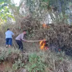 istimewa