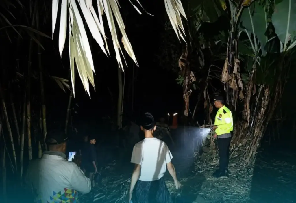 Garut Rawan Karhutla: Api Lahap Lahan Bambu di Pasirwangi (Istimewa)