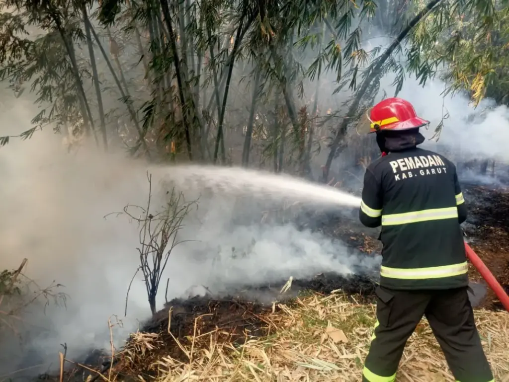 Kebakaran Hutan di Kabupaten Garut. (Istimewa)