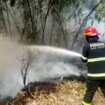 Kebakaran Hutan di Kabupaten Garut. (Istimewa)