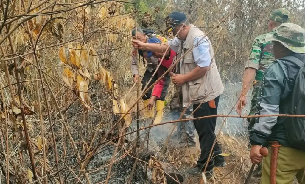 Lahan Perhutani di Pakenjeng Terbakar, Polisi dan Warga Padamkan Api Secara Manual istimewa