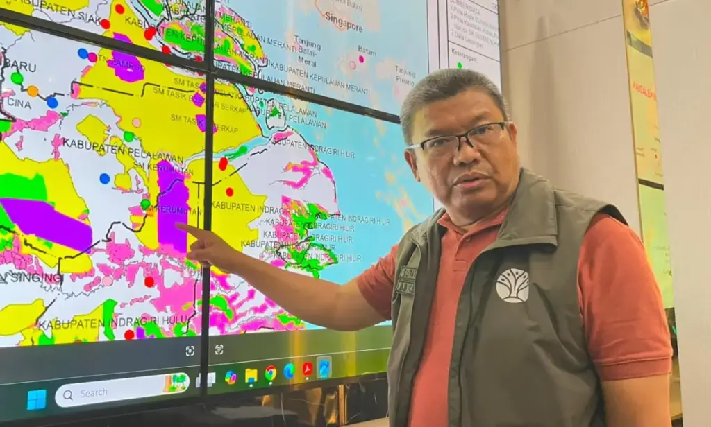 Api Bakar Habitat Ragam Hayati Indonesia: Harimau Sumatera Terancam Punah (Disways)