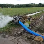 Irigasi Perpompaan Jadi Andalan Warga Garut, Kekeringan Sawah Mulai Diantisipasi istimewa