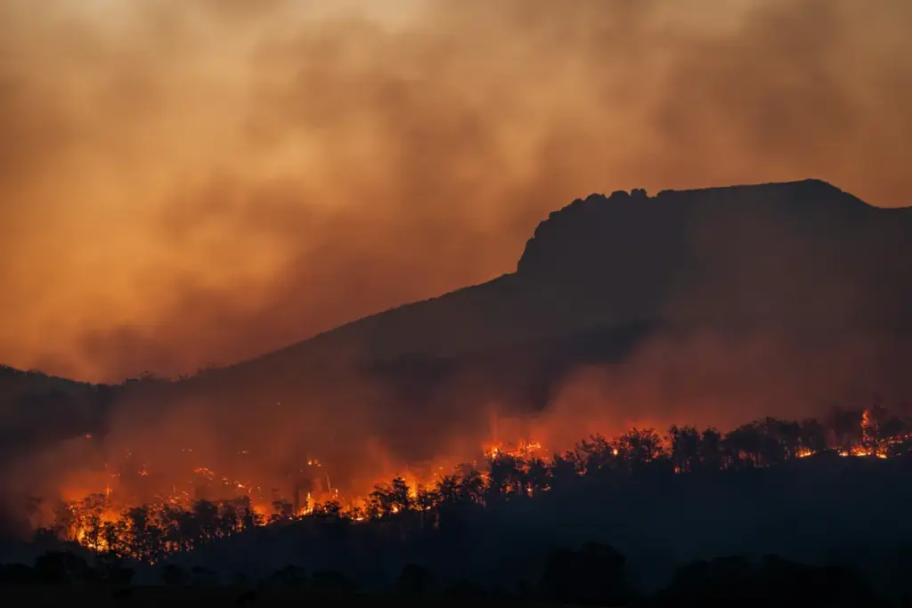 Kebakaran Capai 176 Hektare, Seluruh Pintu Masuk Gunung Bromo Ditutup Total Mulai Sabtu Malam (Istimewa)