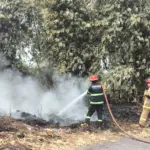 Kebakaran Lahan di Kecamatan Tarogong Kaler, Garut. (istimewa)