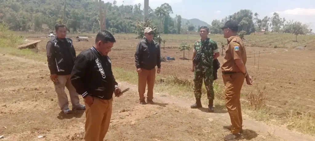 Lahan Pembangunan Sekolah Rakyat di Samarang Garut Dimatangkan Kepala BPKAD Garut, Saepul Hidayat, bersama Camat Samarang saat tinjau lahan Sekolah Rakyat. (Istimewa)