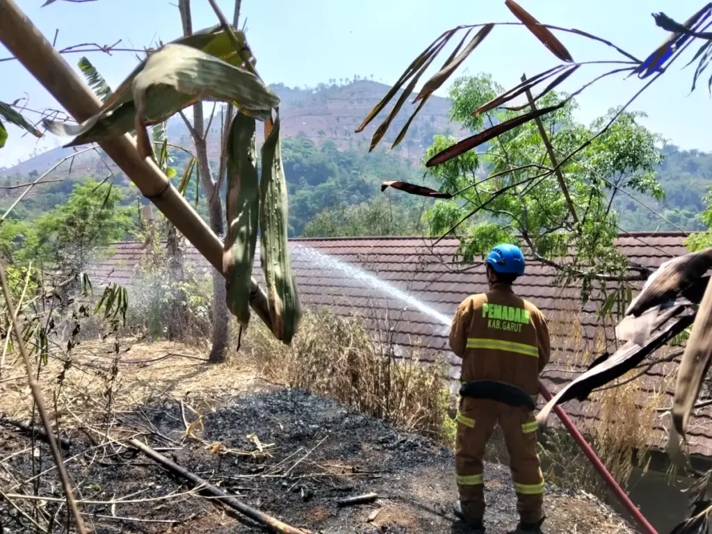 Kebakaran Lahan Bambu Milik SMA YPI Pulosari Garut Berhasil Dipadamkan, Aset Rp350 Juta Berhasil Diselamatkan Kebakaran Lahan di Desa Cijolang, Kecamatan Limbangan, Garut. (Istimewa)