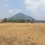 Radar Garut