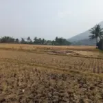 Radar Garut