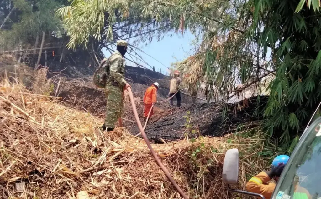 Garut Siaga Api! Kebakaran Lahan Terjadi di 8 Lokasi Dalam Sehari (Istimewa)