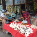 Penjual Ayam Boiler di Pasar Ciawitali Garut. (Ale/Radar Garut)