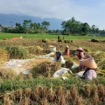 Radar Garut
