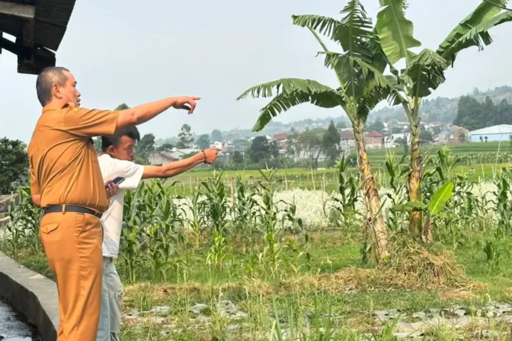 Dispertan Garut saat tinjau lokasi lahan sawah terdampak Kekeringan di Kecamatan Bayongbong. (Istimewa)