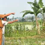 Dispertan Garut saat tinjau lokasi lahan sawah terdampak Kekeringan di Kecamatan Bayongbong. (Istimewa)