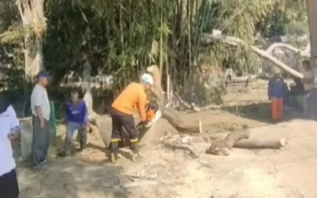 Angin Kencang Robohkan Pohon di Samarang Garut, Dua Rumah Warga Rusak (Istimewa)